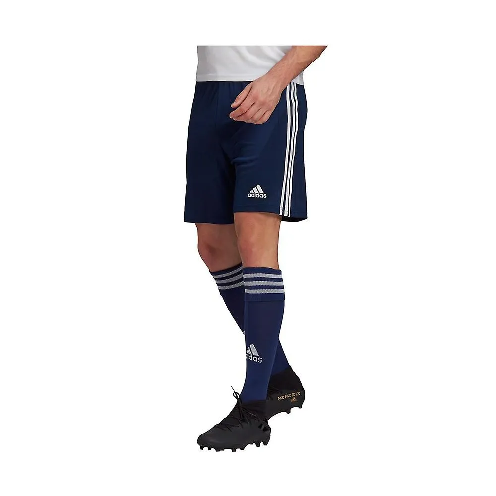 Adidas Squadra 21 GN5775 entrenamiento todo el año hombre