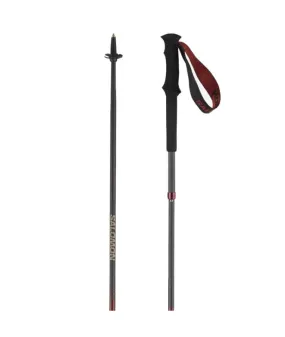 Bastones de Montaña Salomon Poles Quest Carbon Foldable Madder