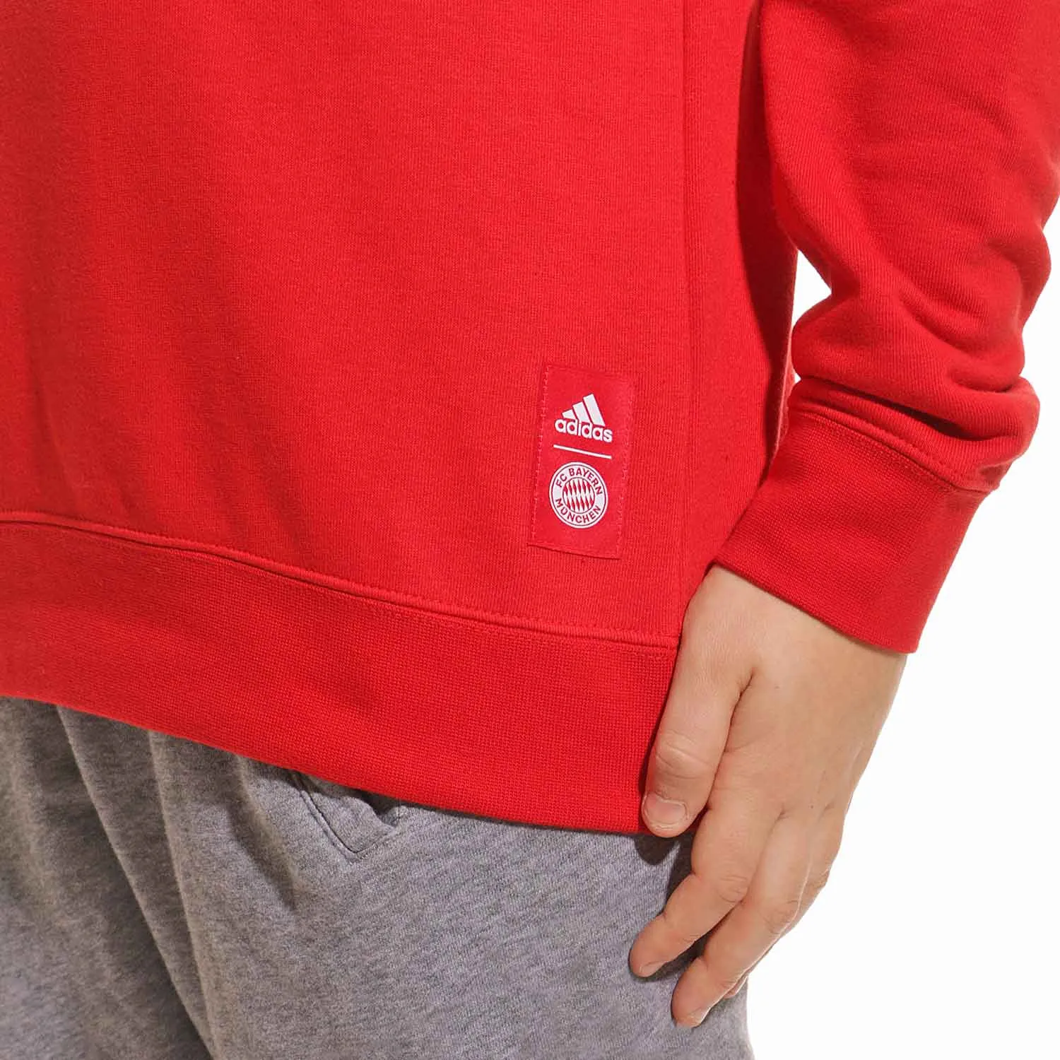 Sudadera adidas Bayern niño Crew