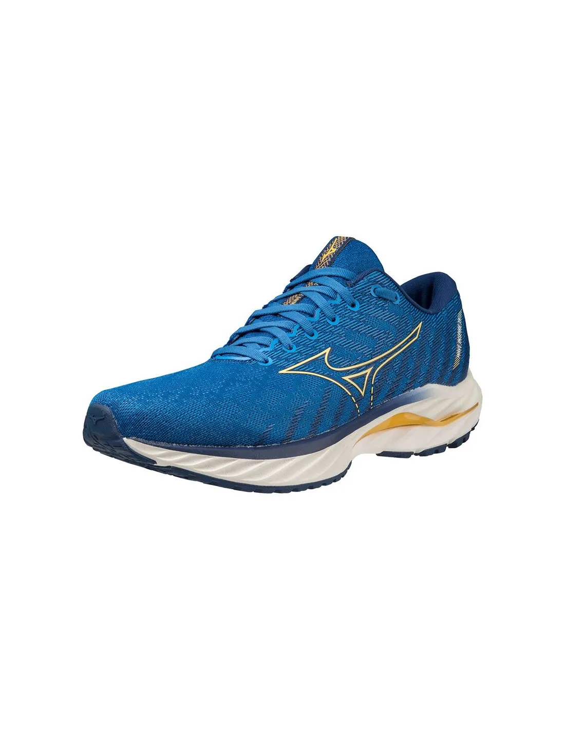 Zapatillas de Running Mizuno Wave Inspire 19 Azul Hombre