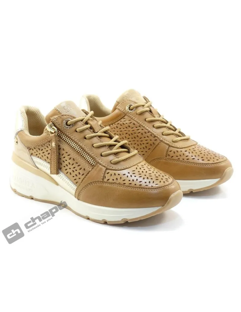 Zapatillas Deportiva Camel Carmela 161417