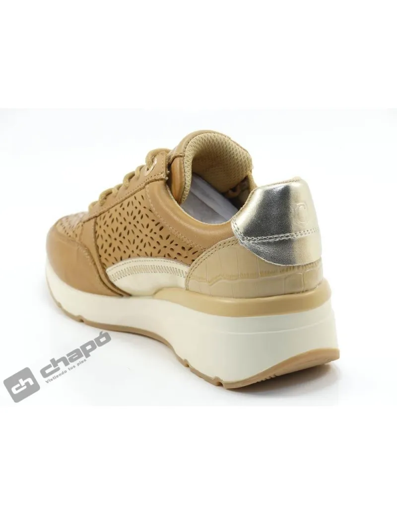 Zapatillas Deportiva Camel Carmela 161417