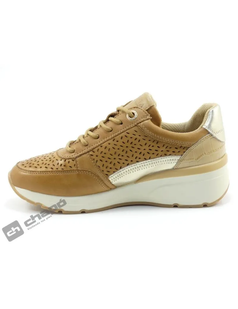 Zapatillas Deportiva Camel Carmela 161417